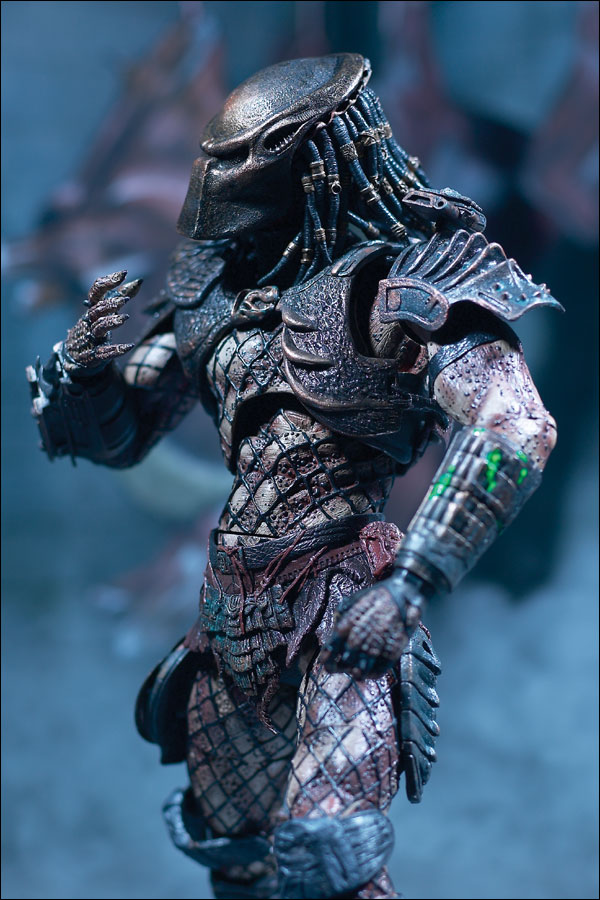 predator.jpg