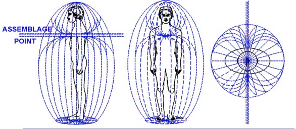 6._assemblage_point.jpg 6._assemblage_point.jpg